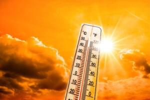 6 Strategies To Beat The Summer Heat Wave