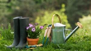 A HEALTHY LIFESTYLE’S 10 BENEFITS OF GARDENING